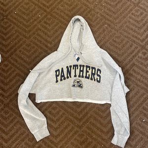 Vintage Cropped Pitt Hoodie